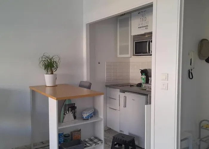 Appartement Proche Croisette Avec Parking Et Climatisation
